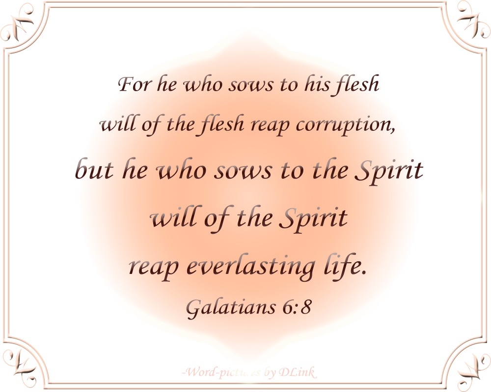 Galatians 6;8